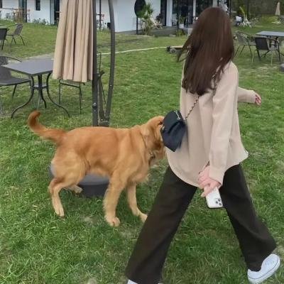 错过爱情