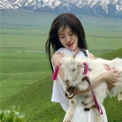 绿湾教父